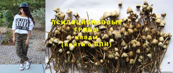 каннабис Новодвинск