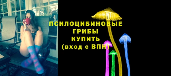 соль ск Валдай
