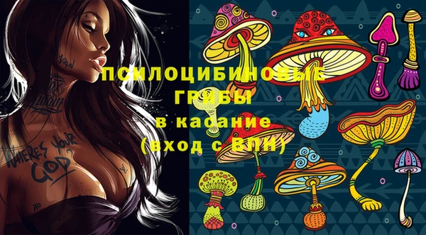 каннабис Новодвинск