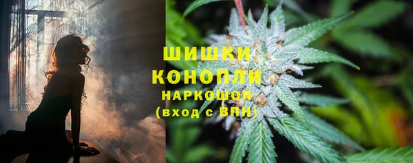 каннабис Новодвинск